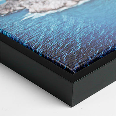 Quail on a Log - Canvas Print