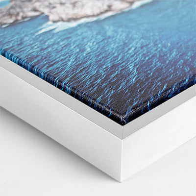 Quail on a Log - Canvas Print