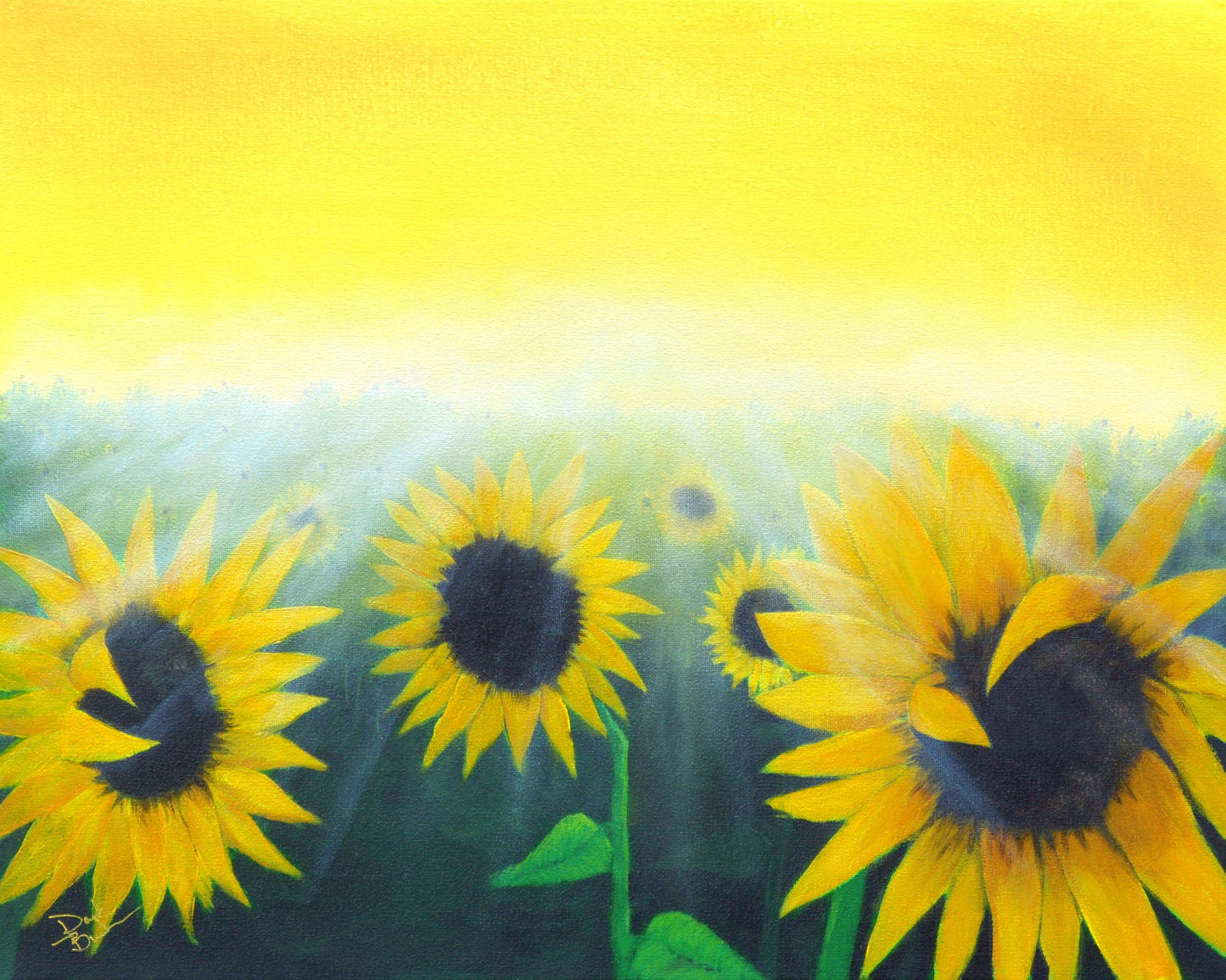 Field of Sunflowers - Canvas Print