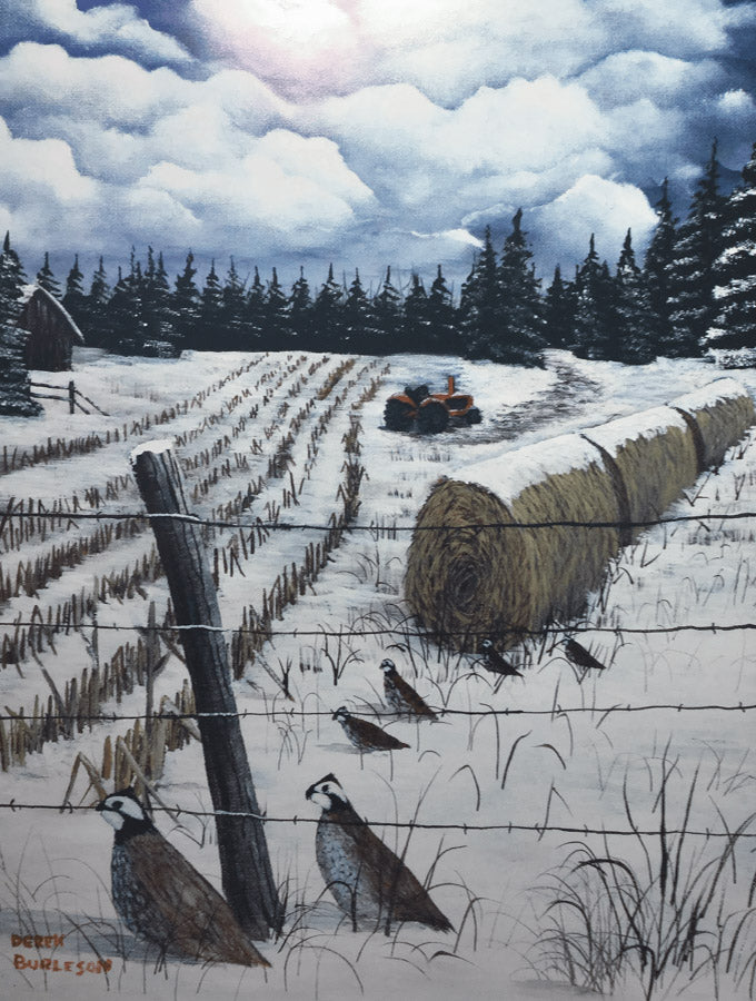 Winter Quail on the Farm - prints