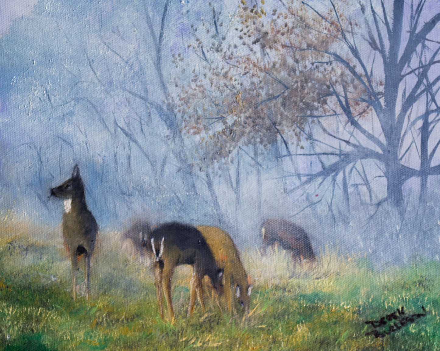 Deer in the Mist - prints