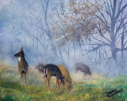Deer in the Mist - prints