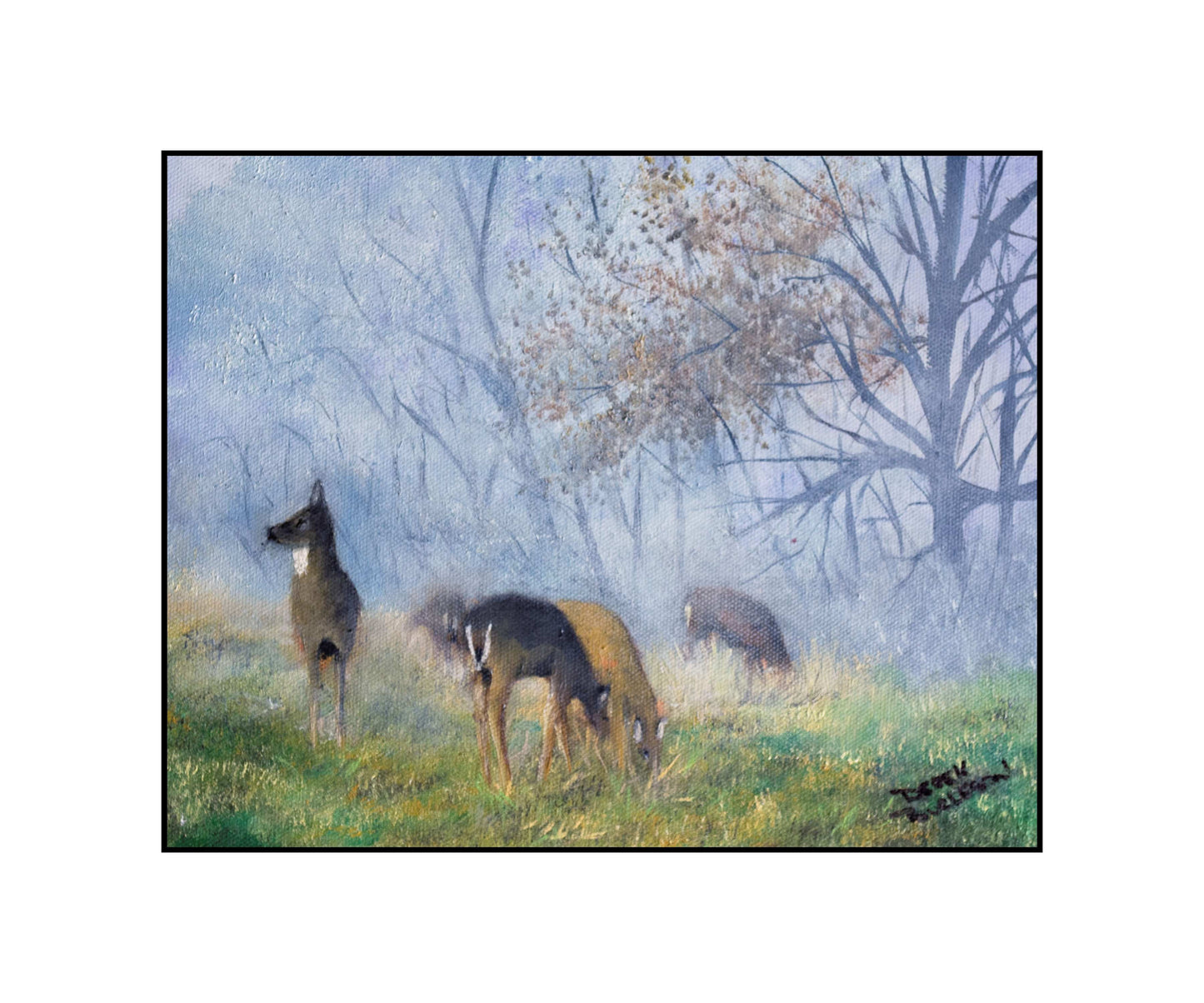 Deer in the Mist - prints