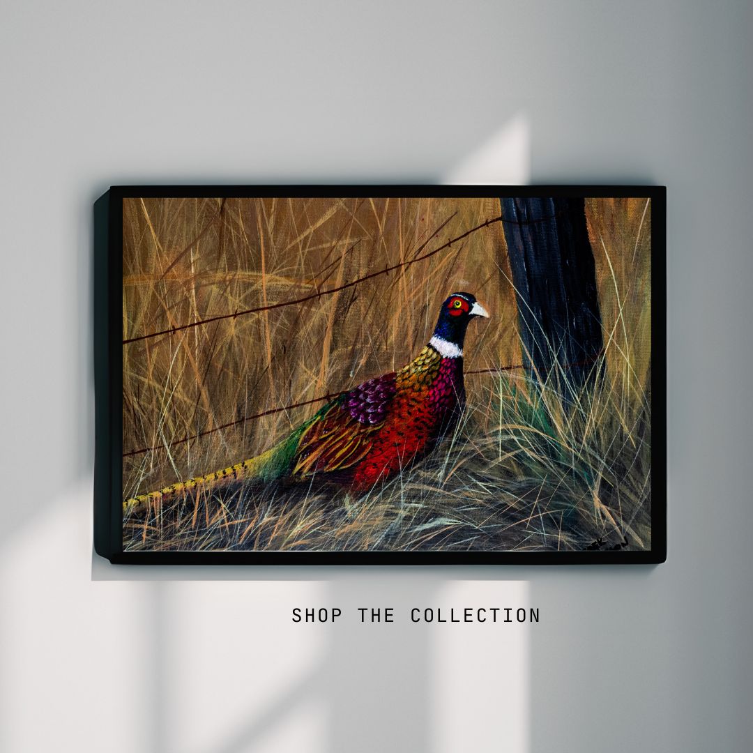 Fall Pheasant - Canvas Print