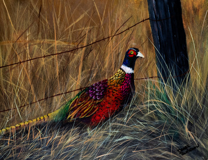 Fall Pheasant - prints