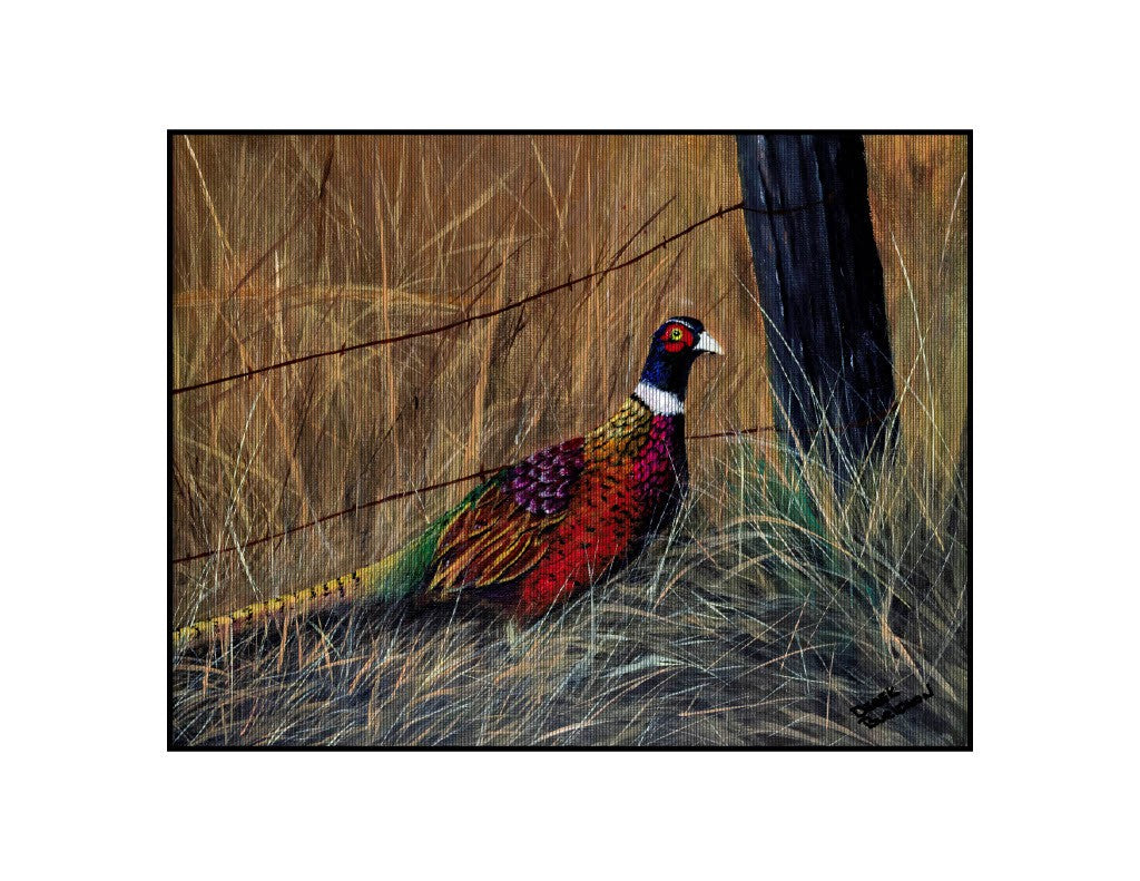 11x14 print with border