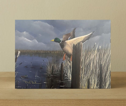 Flying Mallard - prints