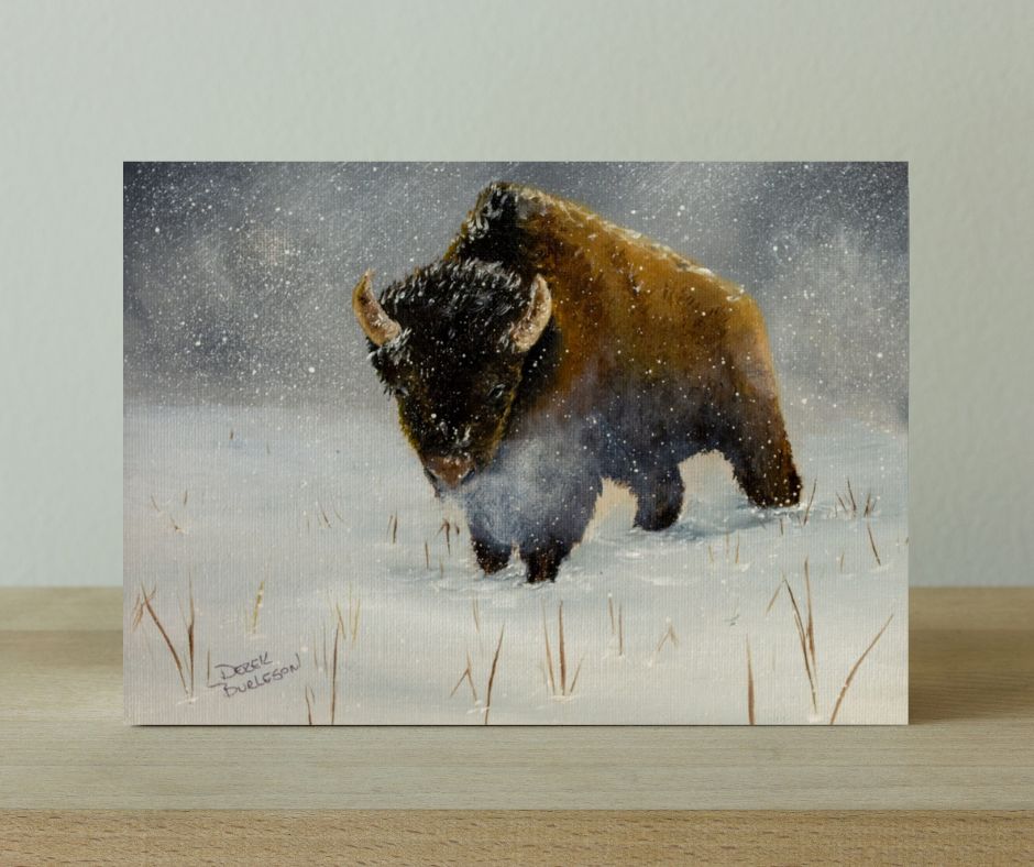 Kansas Bison - Canvas Print