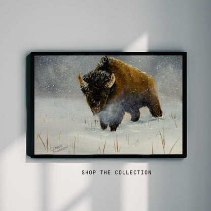 Kansas Bison - Canvas Print