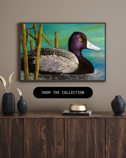 Purple Headed Mallard - Canvas Print