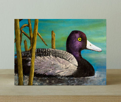 Purple Headed Mallard - Canvas Print