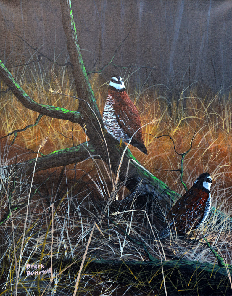 Quail on a Log - prints
