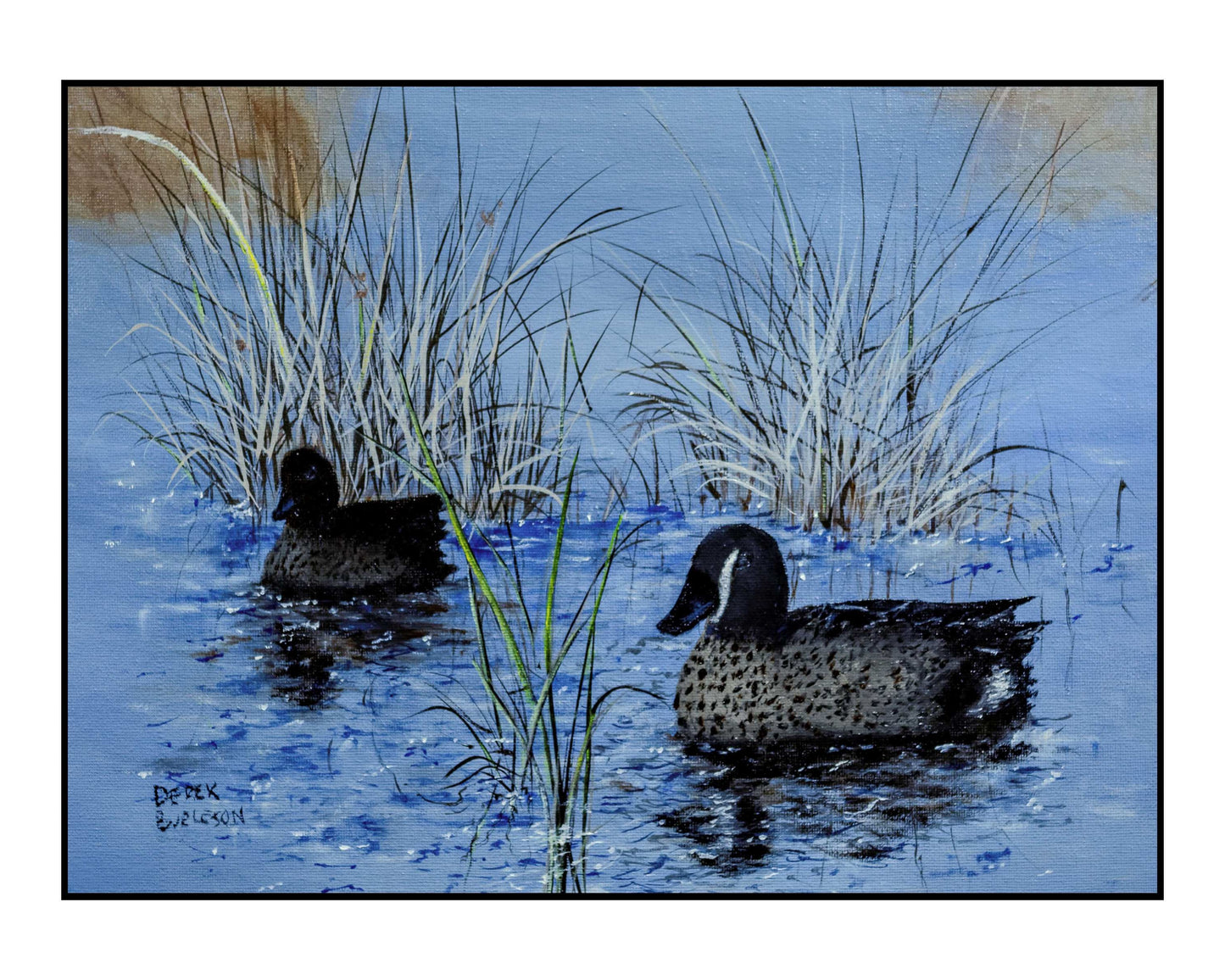 Blue Wing Teal Ducks - prints
