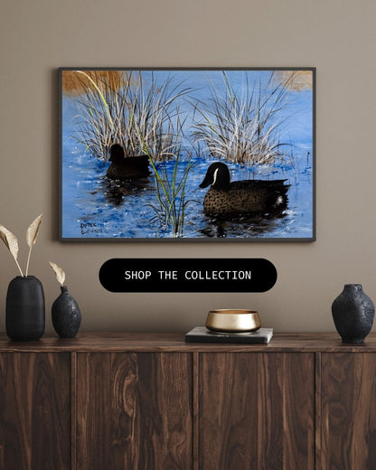 Blue Winged Teal Ducks - Canvas Print